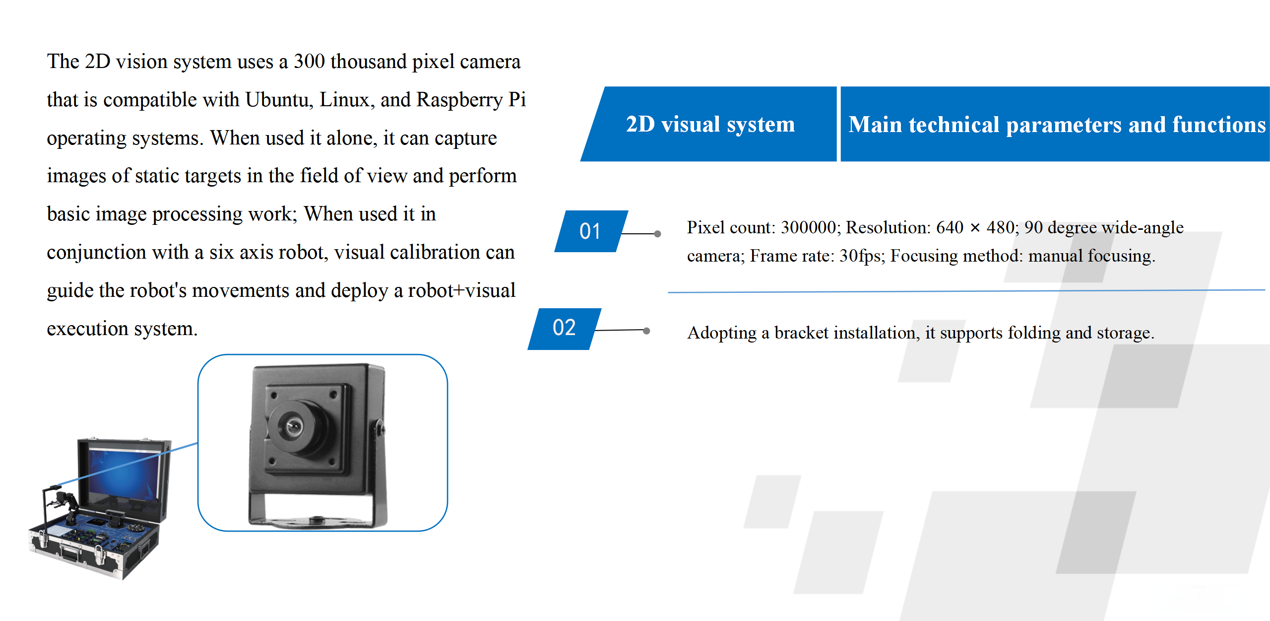 2D visual system