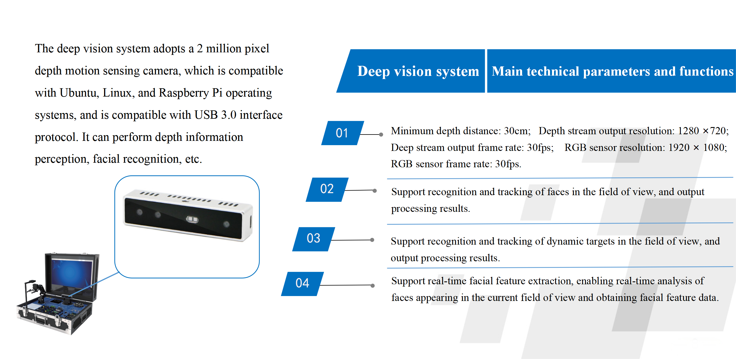 Deep vision system