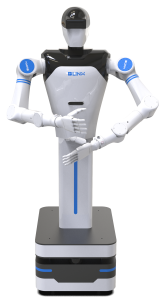 Humanoid robot of 2026