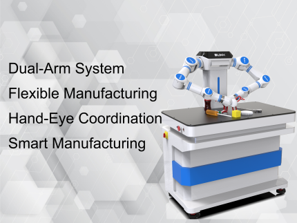 Dual-Arm Collaborative Flexible Manufacturing Platform